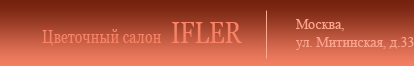   IFLER. © 2006   